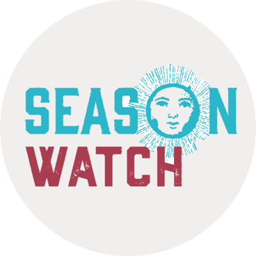 Season Watch in blue and red text on a gray background